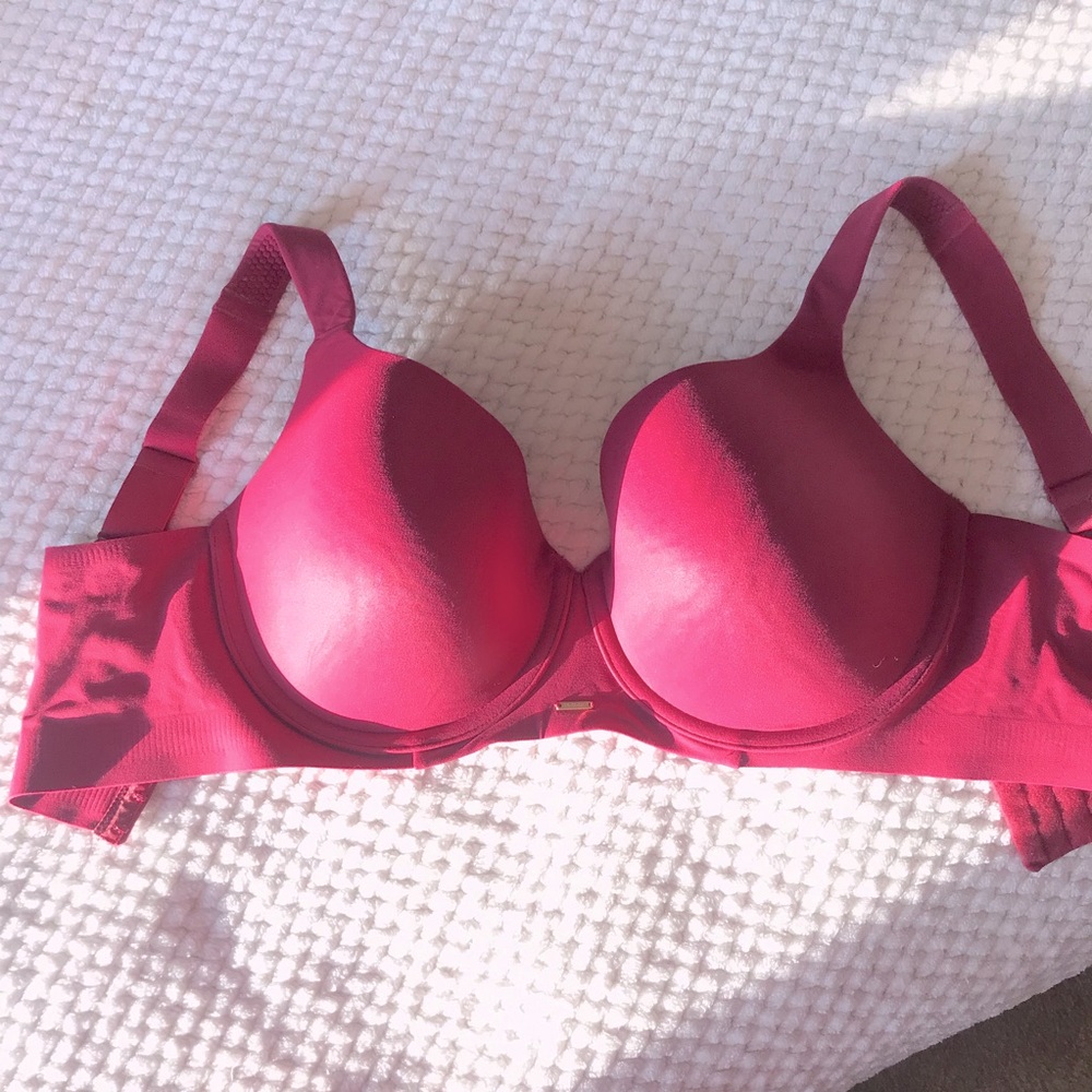 Cacique Everyday Contour Bra in Berry 42B